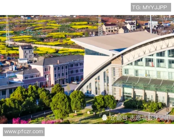 权威发布羽毛球比赛经验实力榜单揭示顶尖选手的竞技表现与成长之路